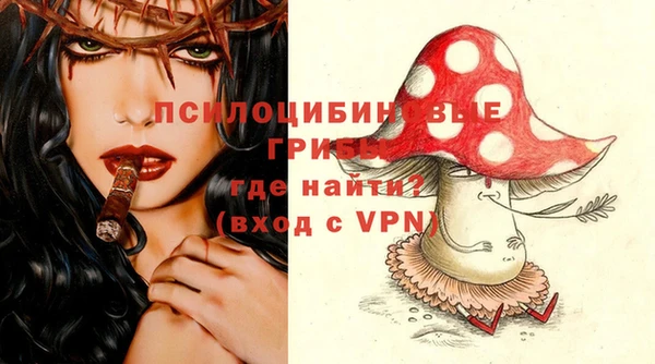 прущие крисы Бородино
