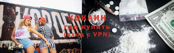 прущие крисы Бородино