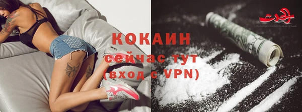 прущие крисы Бородино